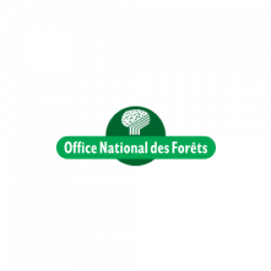 Liens Utiles Guine Olhain | Passion d'Aventure